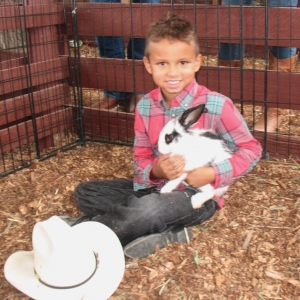 Photo of Barnyardville