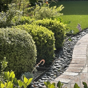 Photo of Green Grows Landscaping