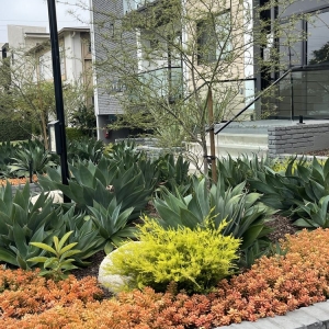 Photo of Green Grows Landscaping