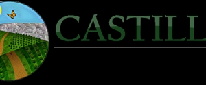 Photo of Castillo Immigration Law