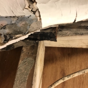 Photo of Maryland Damage Restoration