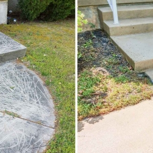 Photo of Whistle Clean Pressure Washing
