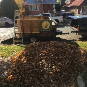 Photo of Wasatch Eco-Mow