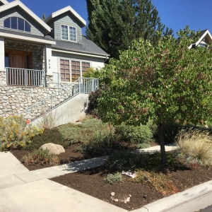Photo of Wasatch Eco-Mow