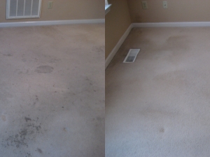 Photo of Drycon Nashville Carpet Cleaning
