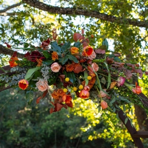 Photo of Dream Events