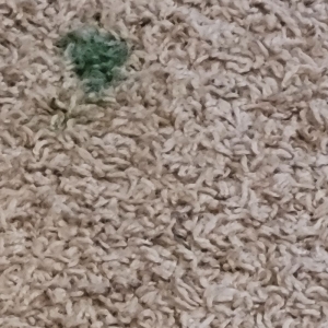 Photo of 1st Resort Carpet Cleaning