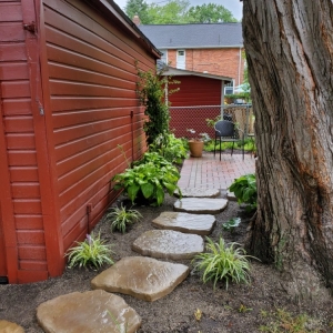 Photo of Perez Solutions