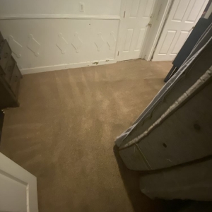 Photo of 7 Pillars Carpet and Upholstery Cleaning