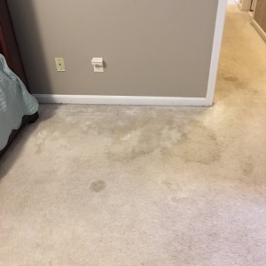 Photo of 7 Pillars Carpet and Upholstery Cleaning