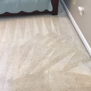 Photo of 7 Pillars Carpet and Upholstery Cleaning