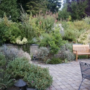 Photo of Michael Lee Landscape Architect