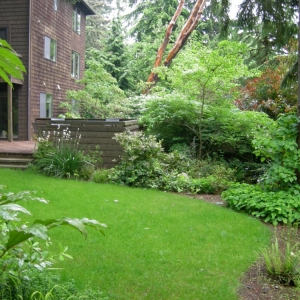 Photo of Michael Lee Landscape Architect