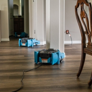 Photo of Fast Action Restoration