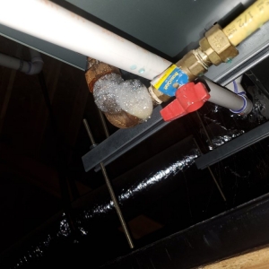 Photo of Jason the Handyman