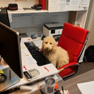 Photo of John Moody - State Farm Insurance Agent