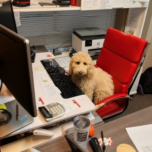 Photo of John Moody - State Farm Insurance Agent