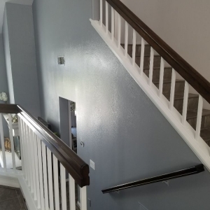 Photo of Mint Condition Painting