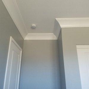 Photo of Mint Condition Painting