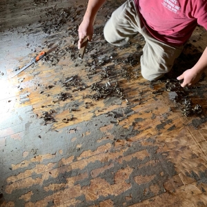 Photo of Gigi Flooring