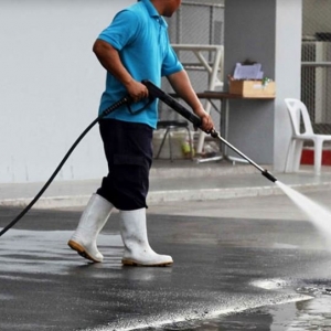 Photo of Palmetto Pressure Clean
