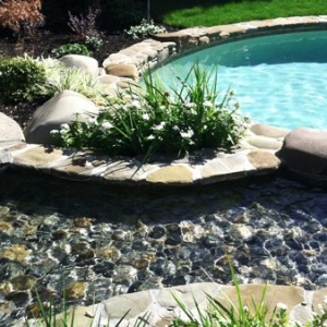 Photo of Spectrum Pool & Landscape