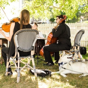 Photo of Puget Sound Strings