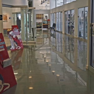 Photo of Cuviello Concrete and Terrazzo Polishing