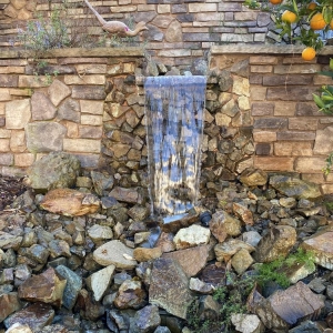 Escondido Pondology