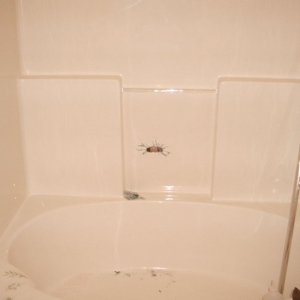 Photo of Surface Specialists