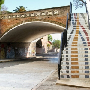 Photo of Musivaria