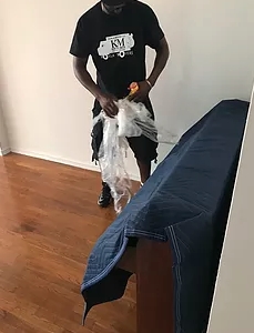 Photo of Koala Moving