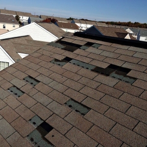 Photo of Gold Medal Roofing Contractor
