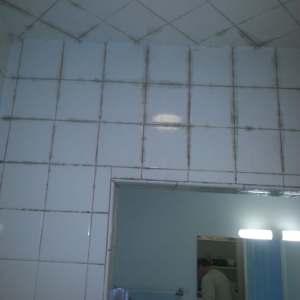Photo of Grout & Restoration