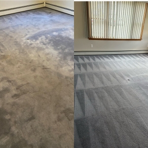 Photo of The Steam Team Carpet Cleaning