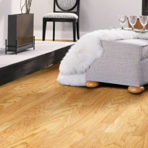 Photo of Hudson Carpet & Flooring