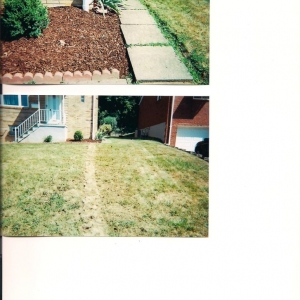 Photo of Dr Dry