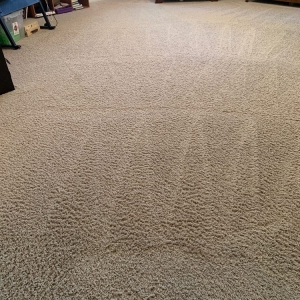 Photo of Oxi Fresh Carpet Cleaning