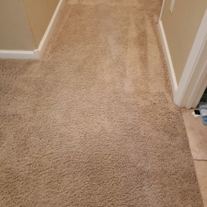Photo of Oxi Fresh Carpet Cleaning