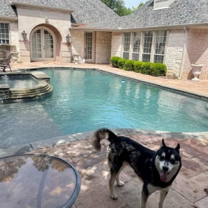 Flower Mound Pretty Pools