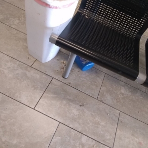 Photo of Yahweh laundromat