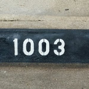 Photo of Dallas Curb Painting