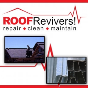 Columbus Roof Revivers
