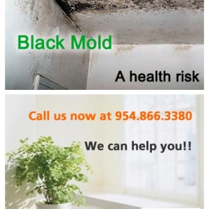 Photo of Water Damage Clean