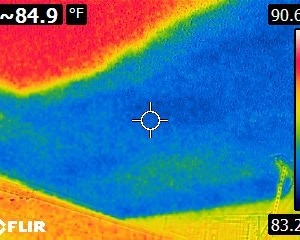 Photo of Water Damage Clean