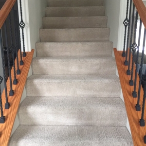 Photo of Midwest Best Carpet Cleaning