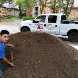 Dallas Davila's Excavations