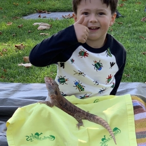 Photo of Jungle James Animal Adventures