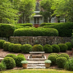 Photo of Habersham Gardens Landscape Services