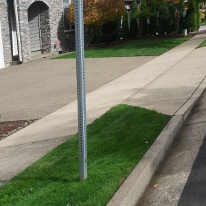 Wilsonville Luis Bravo Landcare